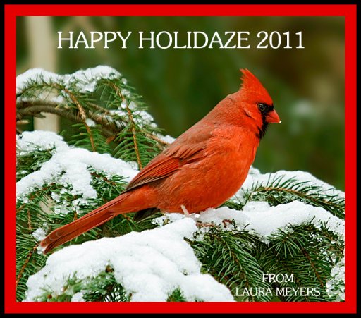 Happy Holidaze